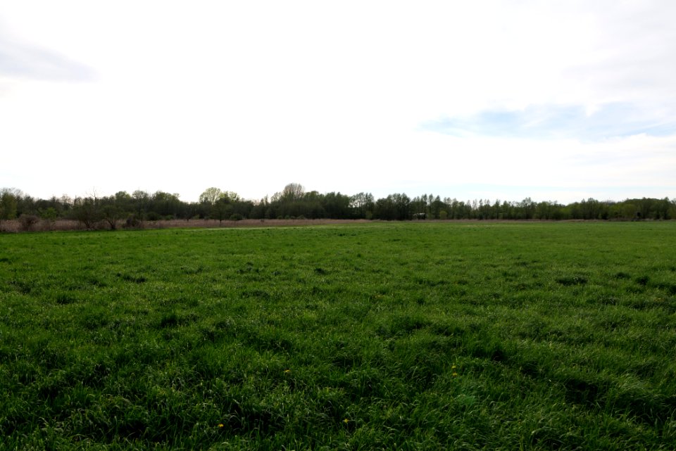 Umgebung Prierowsee 2021-05-09 21