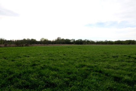 Umgebung Prierowsee 2021-05-09 21
