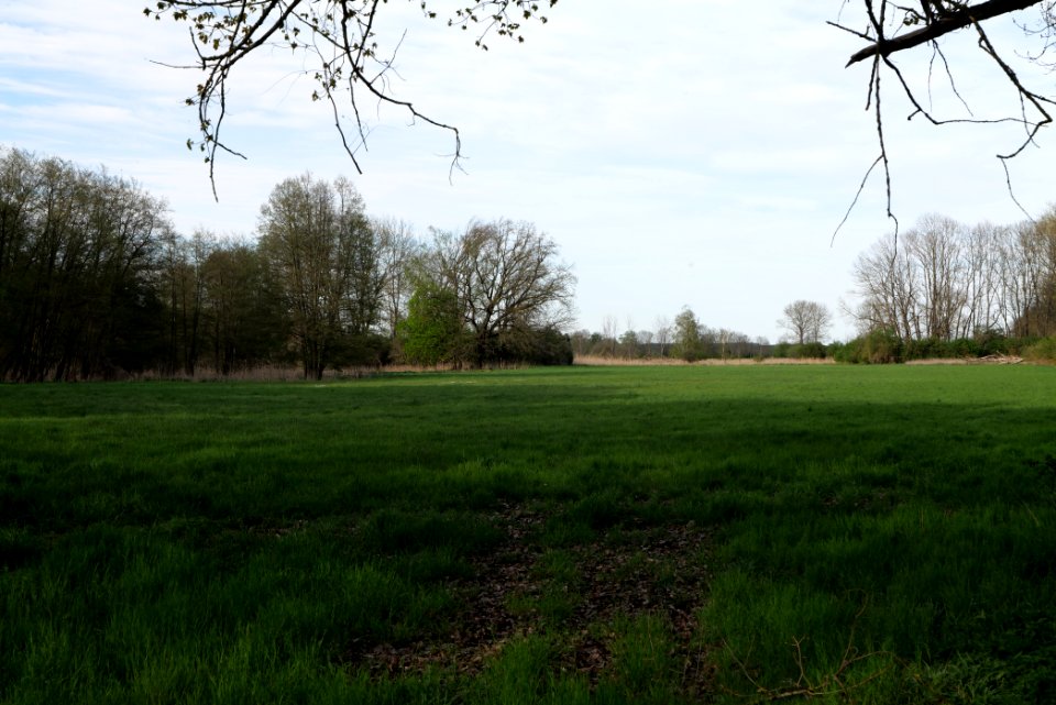 Umgebung Prierowsee 2021-05-09 02