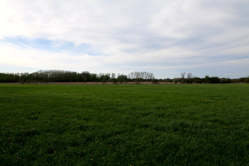 Umgebung Prierowsee 2021-05-09 27