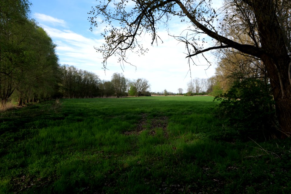 Umgebung Prierowsee 2021-05-09 01