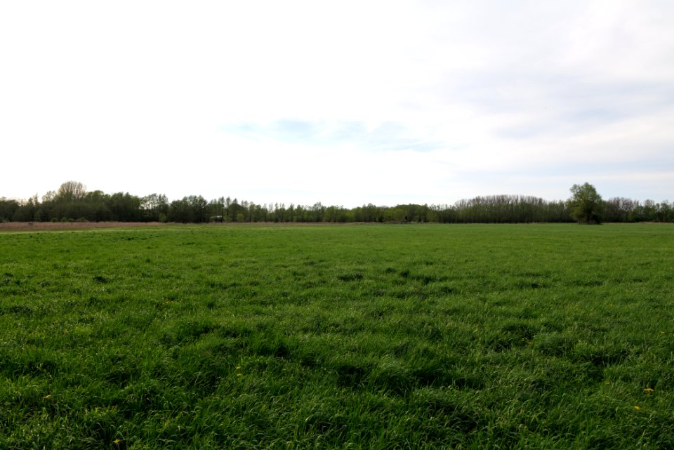 Umgebung Prierowsee 2021-05-09 23