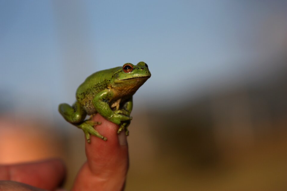 Small finger size
