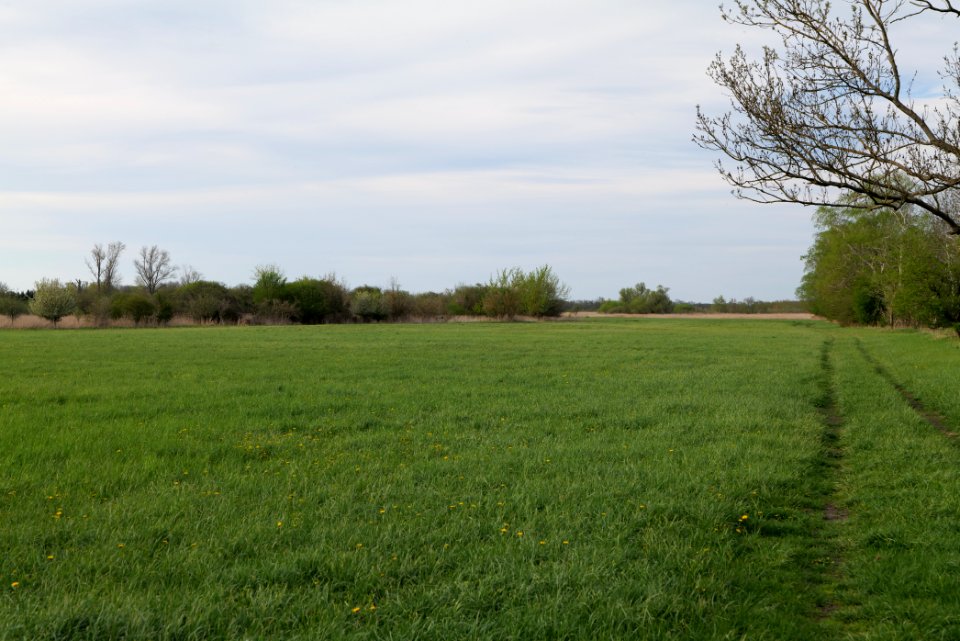 Umgebung Prierowsee 2021-05-09 28