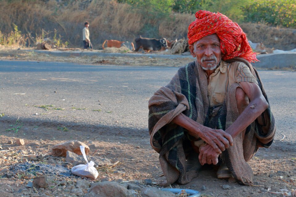 Herder madhya pradesh india