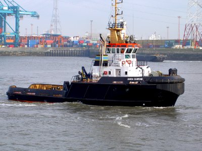 Union Diamond IMO 9220548 in front of Berendrecht locks, Antwerp, Belgium 06-Apr-2005