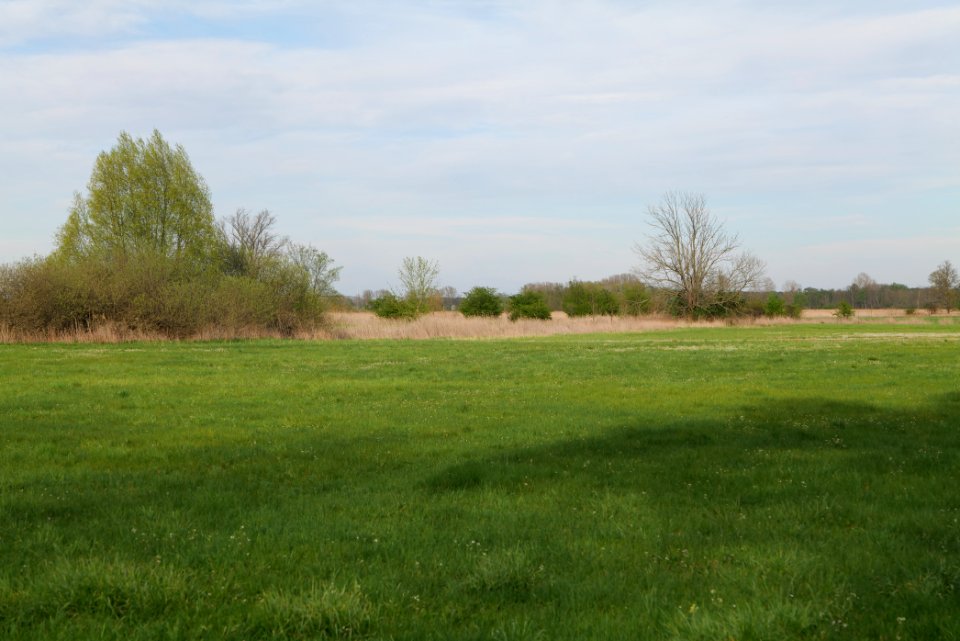 Umgebung Prierowsee 2021-05-09 35