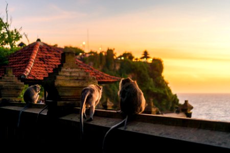 Uluwatu Temple (247556463)