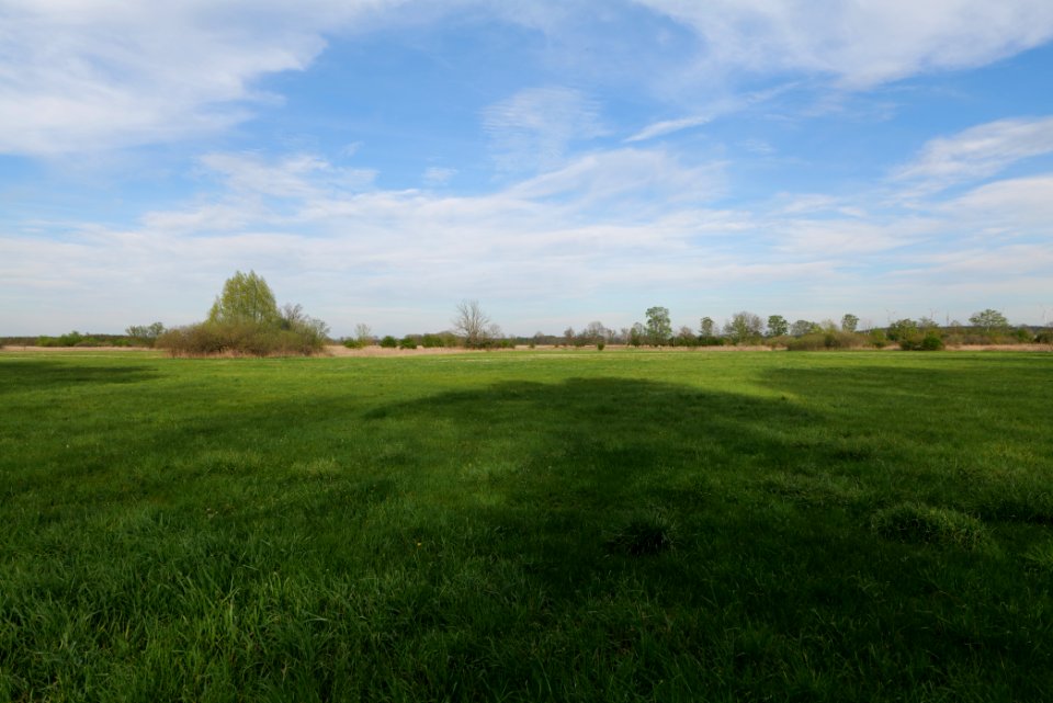 Umgebung Prierowsee 2021-05-09 38