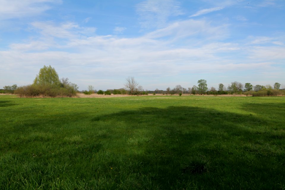 Umgebung Prierowsee 2021-05-09 39