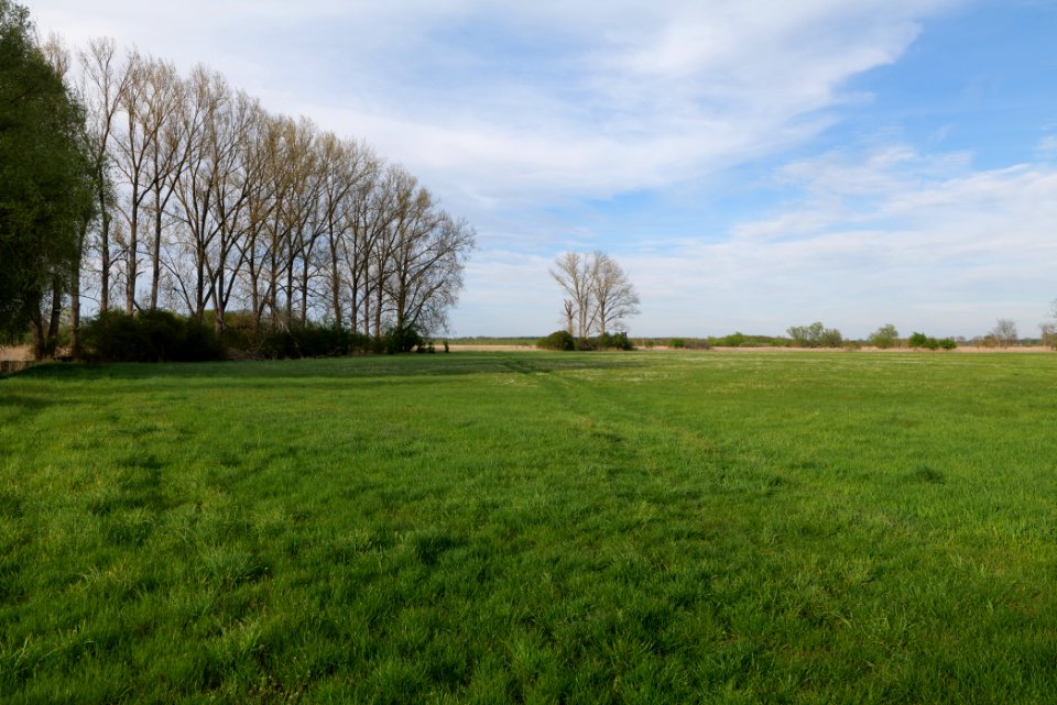 Umgebung Prierowsee 2021-05-09 40