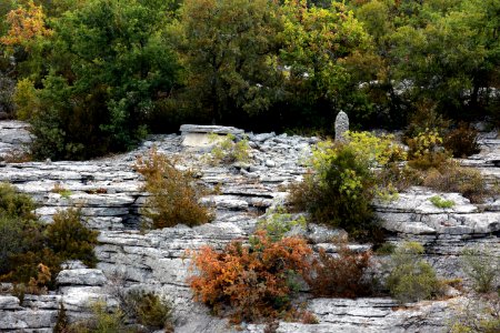Un des deux dolmens du ruisseau de Fontgraze