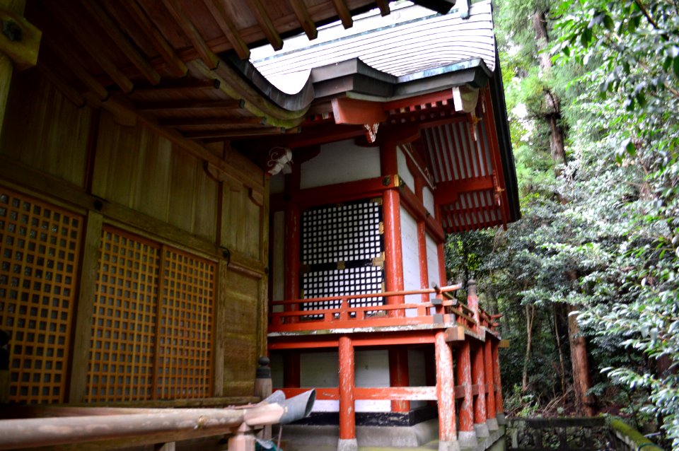 Unaguhime-jinja honden