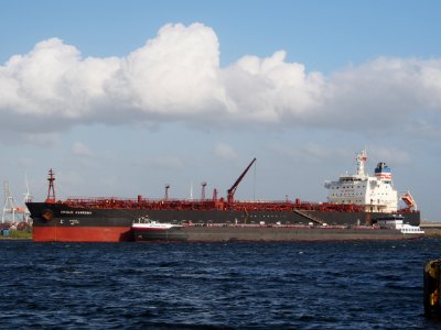Unique Harmony (ship, 2012) IMO 9609914, Afrikahaven, Port of Amsterdam