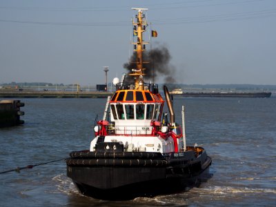 Union Grizzly - IMO 9397121, Port of Antwerp pic6