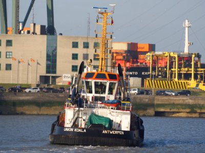 UNION KOALA - IMO 9502714 - Callsign ORPF, Port of Antwerp, pic 1
