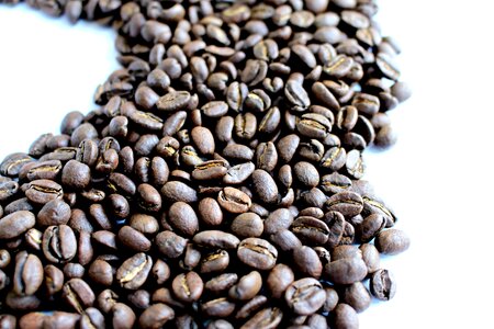 Coffee beans beans brown photo