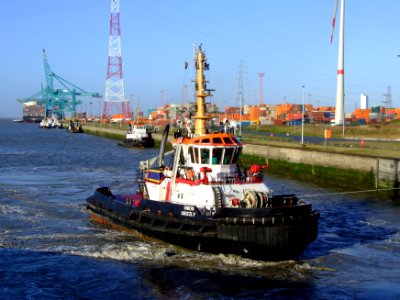 Union Grizzly IMO 9397121, Port of Antwerp 19Dec2008 pic6