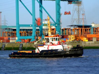 Union Grizzly IMO 9397121, Port of Antwerp 19Dec2008 pic1