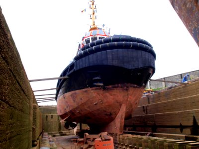 Union Grizzly in dry-dock of Antwerp pic6