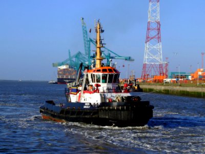 Union Grizzly IMO 9397121, Port of Antwerp 19Dec2008 pic4