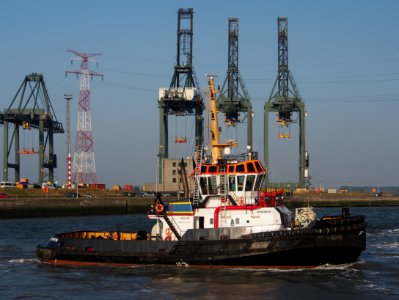 Union Grizzly - IMO 9397121, Port of Antwerp, pic3