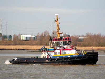 Union Grizzly IMO 9397121, on the Schelde, Port of Antwerp
