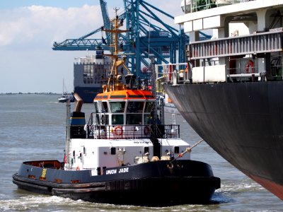 Union Jade - IMO 9365142, Berendrechtlock, Port of Antwerp, pic3