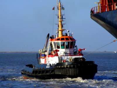 Union Grizzly IMO 9397121, Port of Antwerp 19Dec2008 pic3