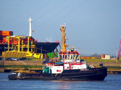 UNION KOALA - IMO 9502714 - Callsign ORPF, Port of Antwerp, pic 2