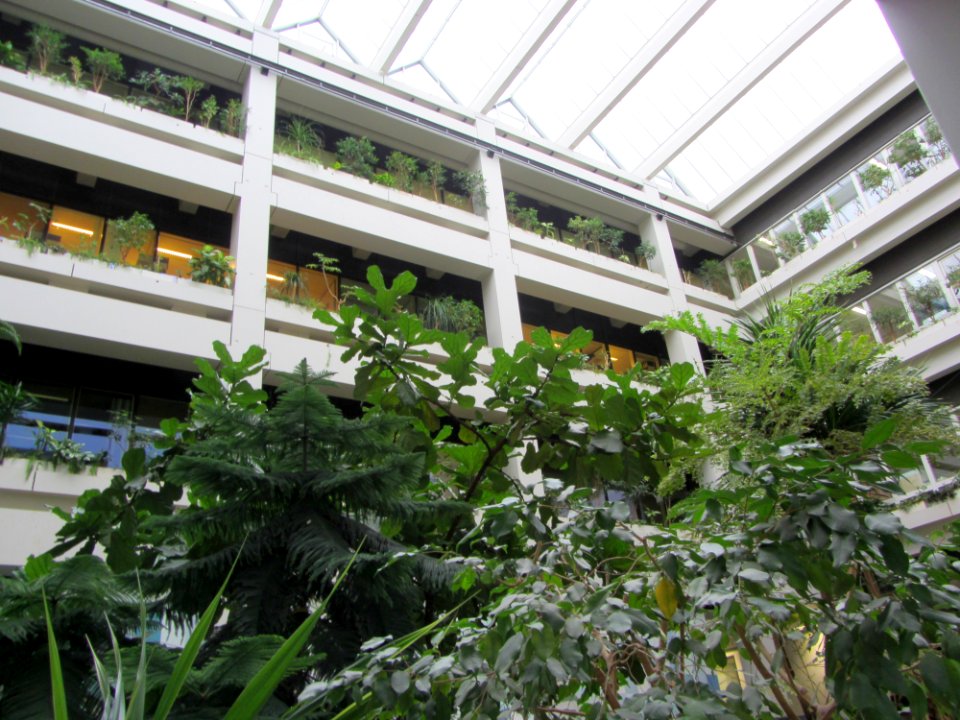 Uniklinik Göttingen Innenhof3
