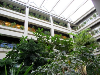 Uniklinik Göttingen Innenhof3