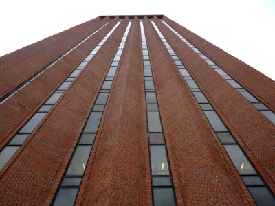 University of Massachusetts at Amherst library looking up photo