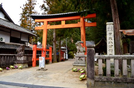 Udamikumari-jinja, torii-2