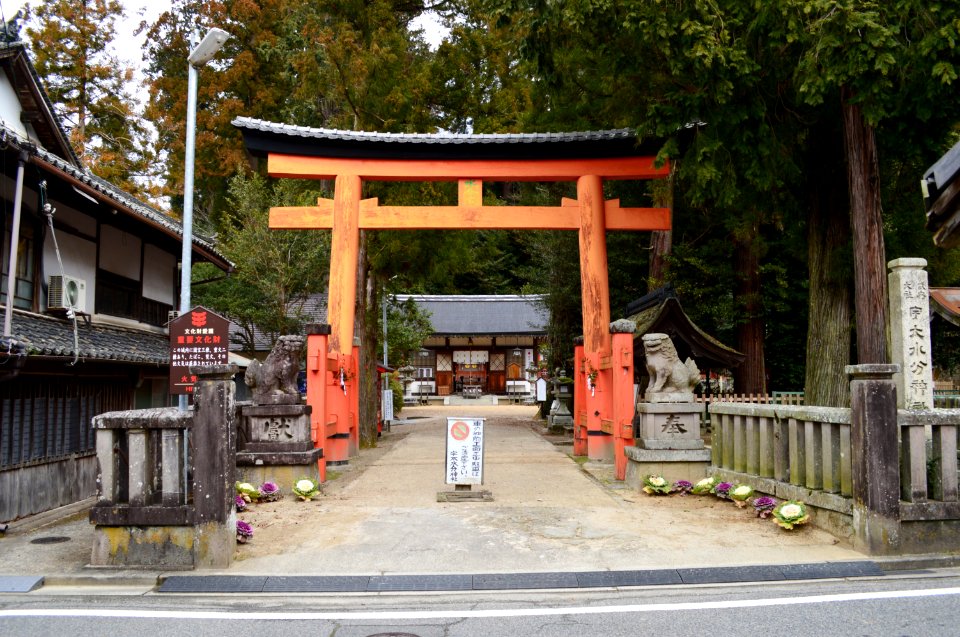 Udamikumari-jinja, torii-1