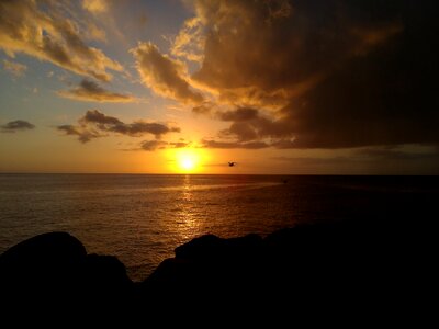 Lowland guadeloupe frigate photo