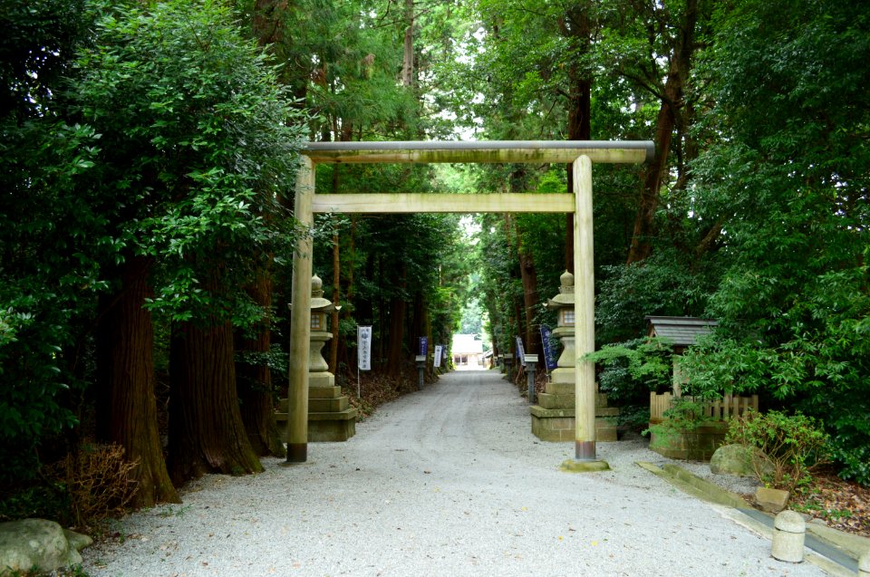 Udamikumari-jinja (Haibara, Uda), torii