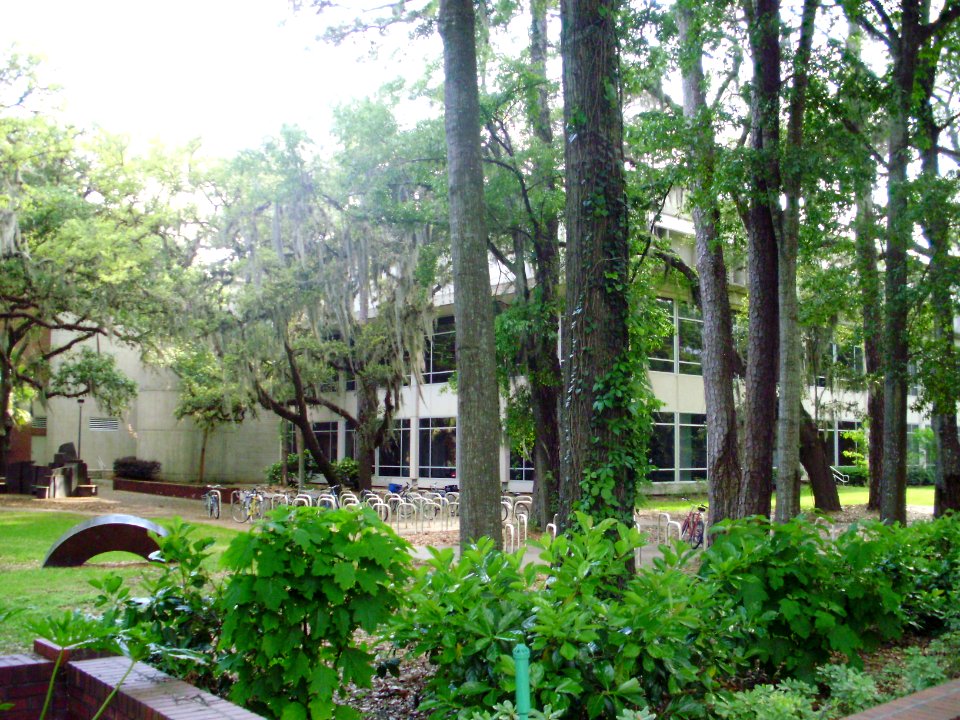 UF-HollandLawCenter-2