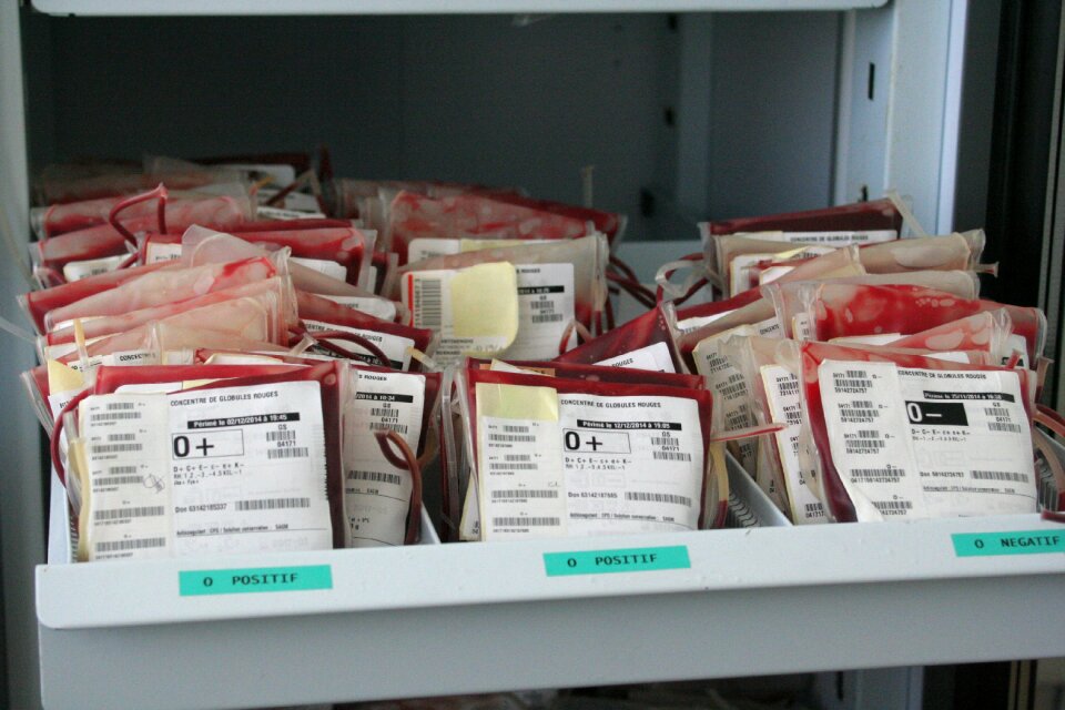 Laboratory analysis blood
