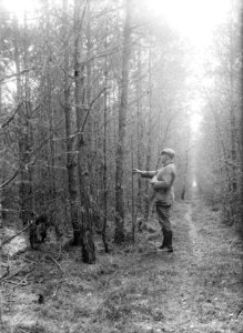 Uit duits zaad (geplant als 2-jarig plantsoen), Bestanddeelnr 192-0496