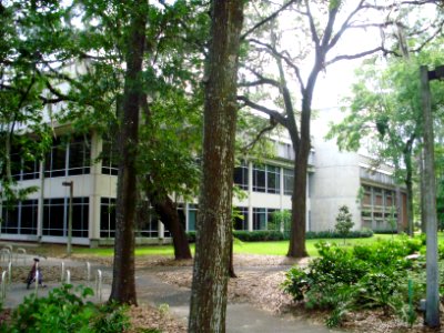 UF-HollandLawCenter-3