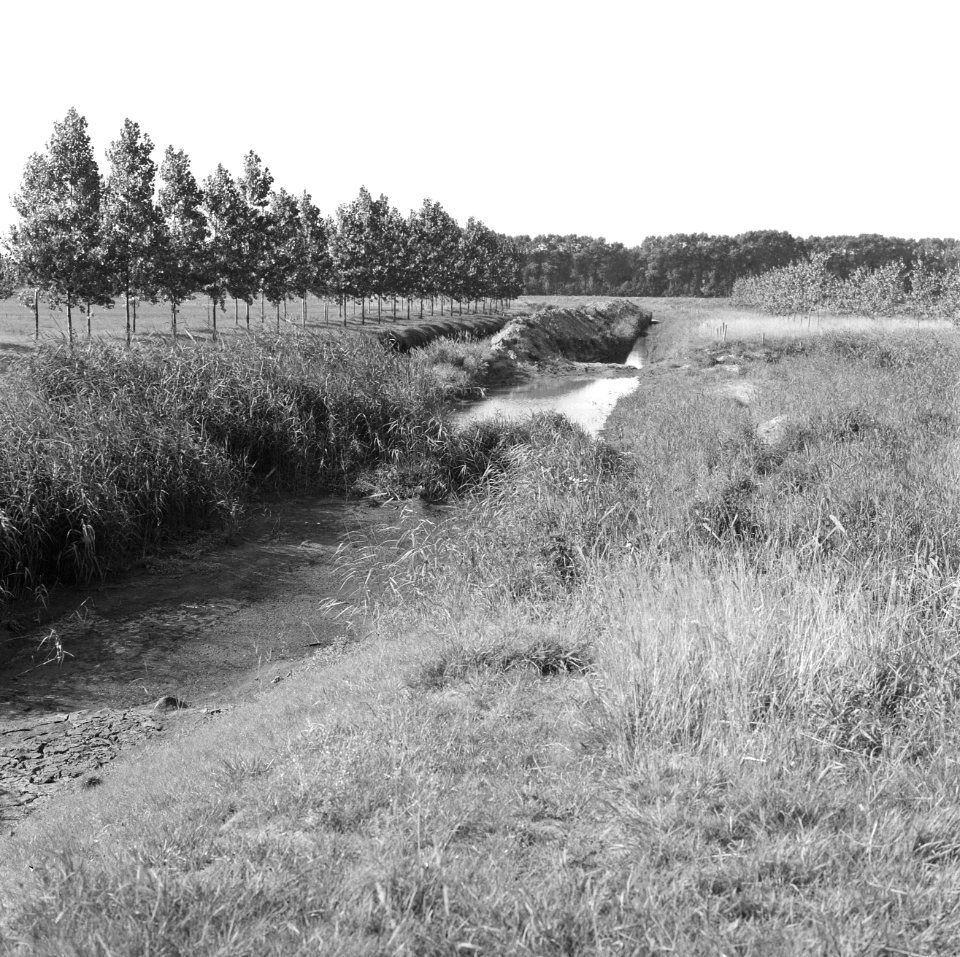 Uitbaggeren van afwateringskanaal, Bestanddeelnr 162-0318