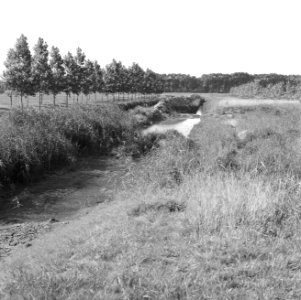 Uitbaggeren van afwateringskanaal, Bestanddeelnr 162-0318