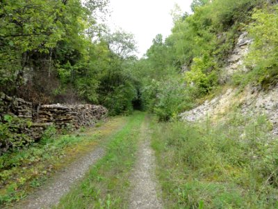 Ugny-sur-Meuse (Meuse) ancien chemin de fer (02) entre rochers