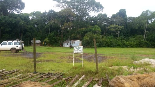 Uganda Virus Research Institute visit on 2 March 2018 - the forest 01
