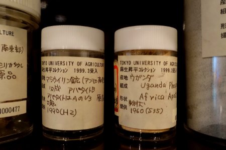 Uganda phosphate - Food and Agriculture Museum - Setagaya, Tokyo, Japan - DSC09700