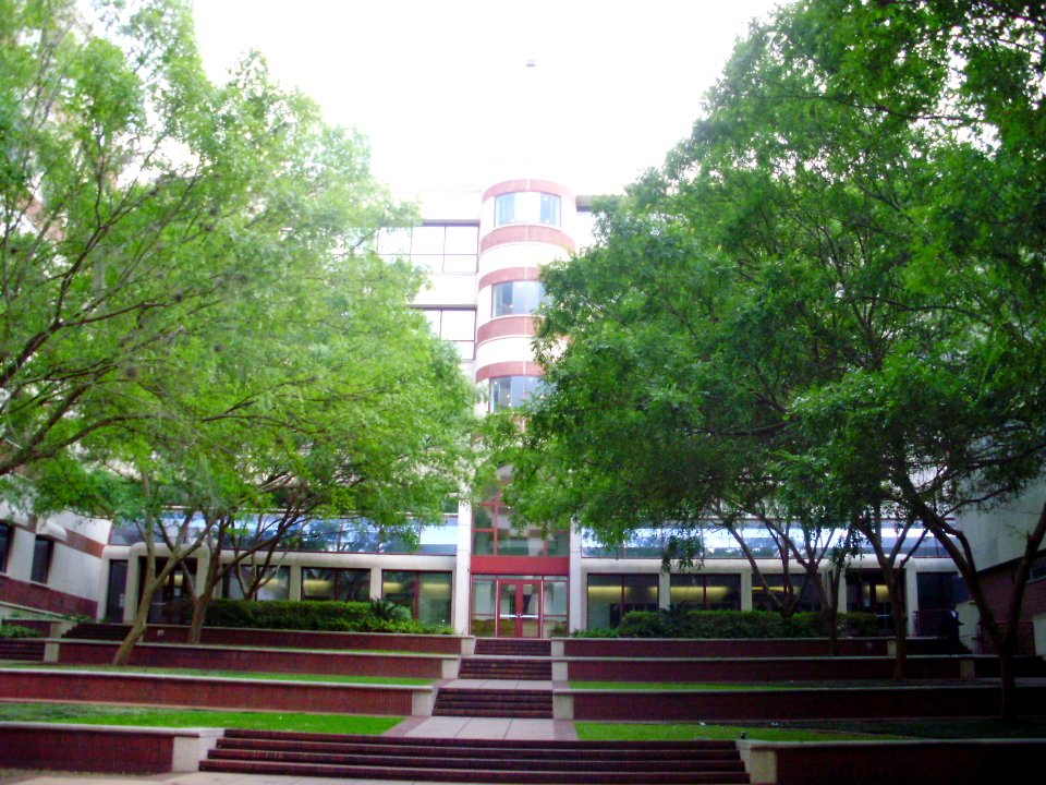 UF-StetsonMedicalSciencesBuilding