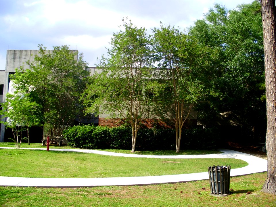 UF-Bruton-GeerHall-2