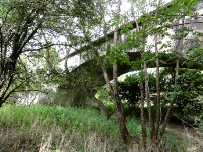 Ugny-sur-Meuse (Meuse) ancien chemin de fer (13) sous le pont de la Meuse