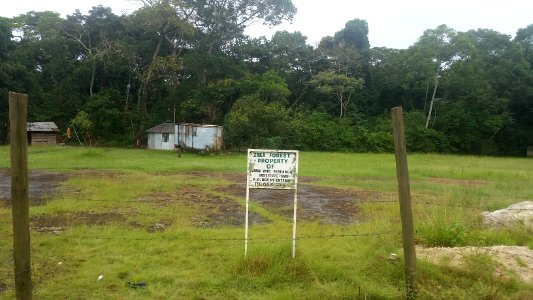 Uganda Virus Research Institute visit on 2 March 2018 - the forest 02